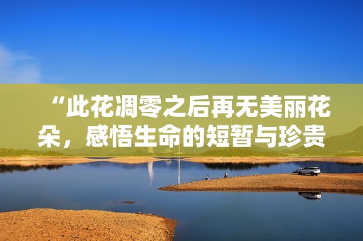 “此花凋零之后再无美丽花朵，感悟生命的短暂与珍贵”
