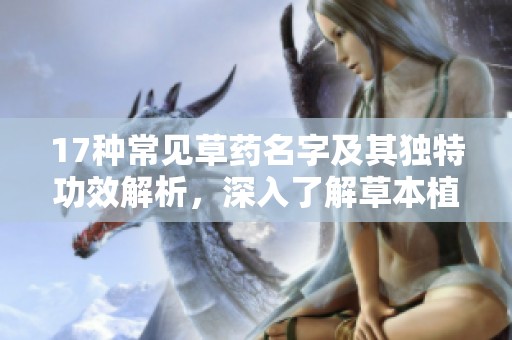 17种常见草药名字及其独特功效解析，深入了解草本植物的神奇世界