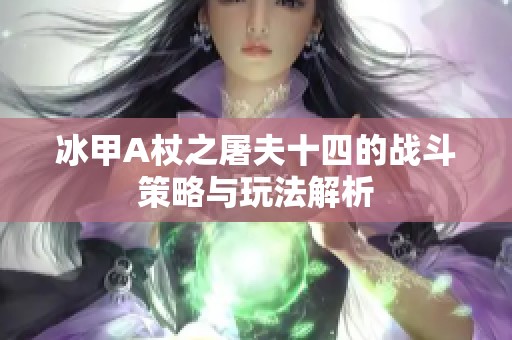 冰甲A杖之屠夫十四的战斗策略与玩法解析