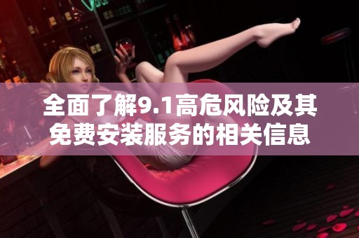 全面了解9.1高危风险及其免费安装服务的相关信息