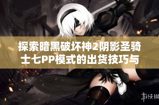 探索暗黑破坏神2阴影圣骑士七PP模式的出货技巧与玩法分享