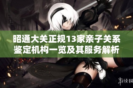 昭通大关正规13家亲子关系鉴定机构一览及其服务解析