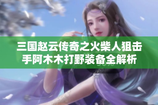 三国赵云传奇之火柴人狙击手阿木木打野装备全解析