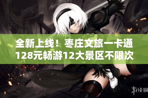 全新上线！枣庄文旅一卡通128元畅游12大景区不限次体验