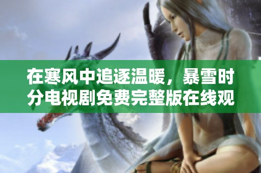 在寒风中追逐温暖，暴雪时分电视剧免费完整版在线观看