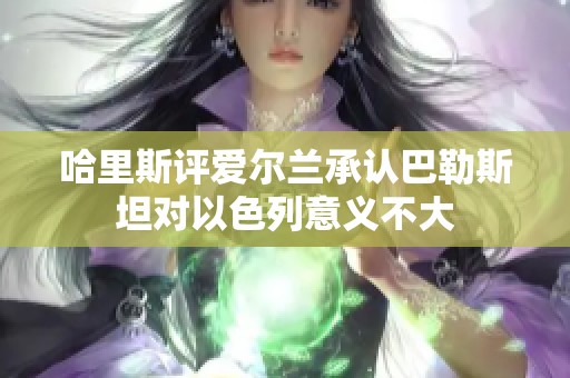 哈里斯评爱尔兰承认巴勒斯坦对以色列意义不大