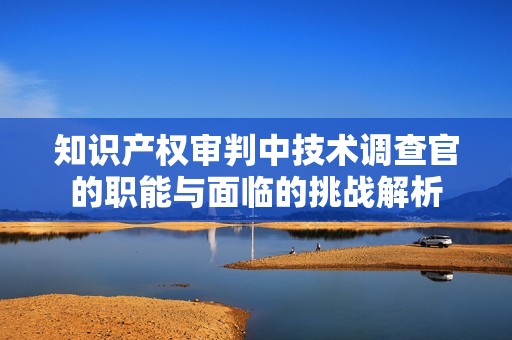 知识产权审判中技术调查官的职能与面临的挑战解析