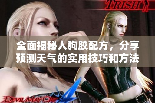 全面揭秘人狗胶配方，分享预测天气的实用技巧和方法