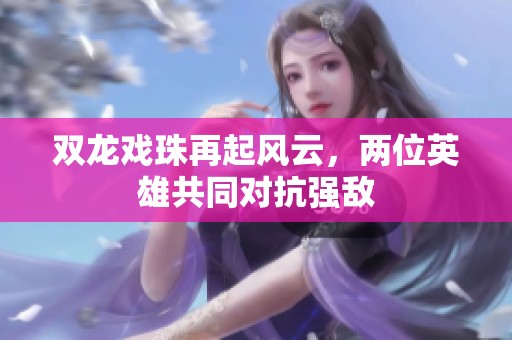 双龙戏珠再起风云，两位英雄共同对抗强敌