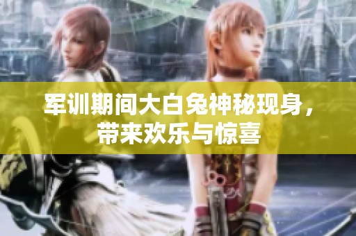 军训期间大白兔神秘现身，带来欢乐与惊喜