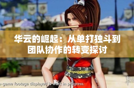 华云的崛起：从单打独斗到团队协作的转变探讨