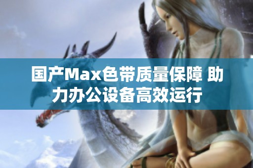 国产Max色带质量保障 助力办公设备高效运行