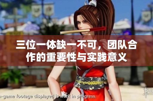 三位一体缺一不可，团队合作的重要性与实践意义