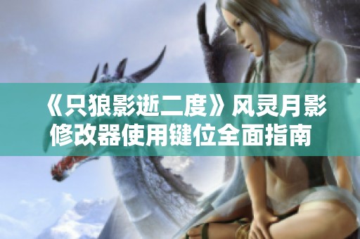 《只狼影逝二度》风灵月影修改器使用键位全面指南