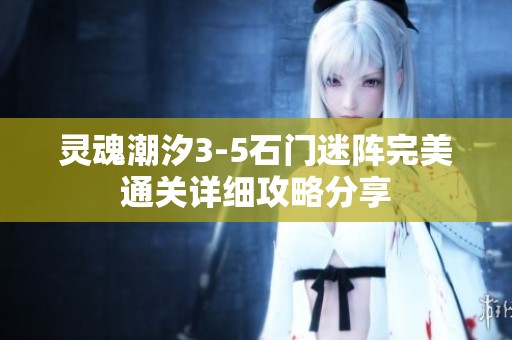 灵魂潮汐3-5石门迷阵完美通关详细攻略分享