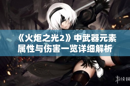 《火炬之光2》中武器元素属性与伤害一览详细解析