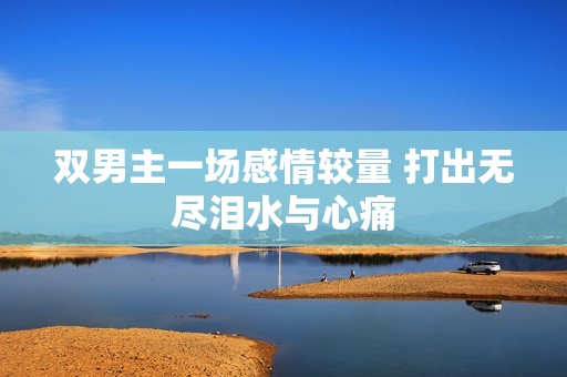 双男主一场感情较量 打出无尽泪水与心痛