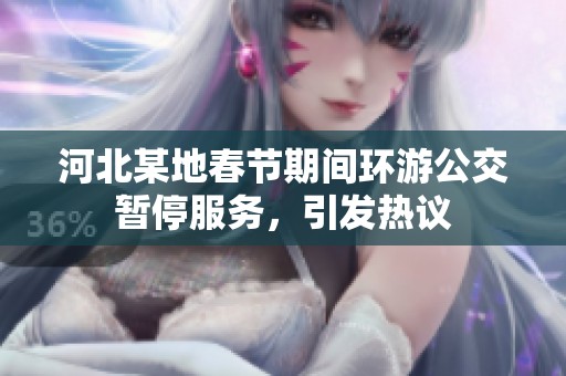 河北某地春节期间环游公交暂停服务，引发热议