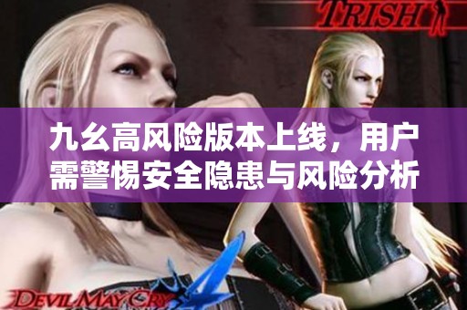 九幺高风险版本上线，用户需警惕安全隐患与风险分析