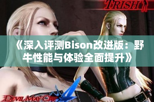 《深入评测Bison改进版：野牛性能与体验全面提升》