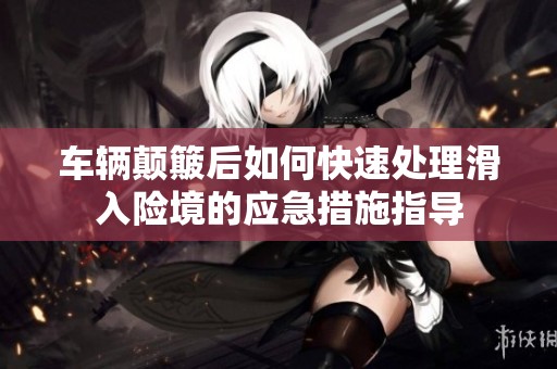 车辆颠簸后如何快速处理滑入险境的应急措施指导