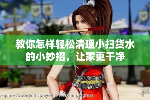 教你怎样轻松清理小扫货水的小妙招，让家更干净