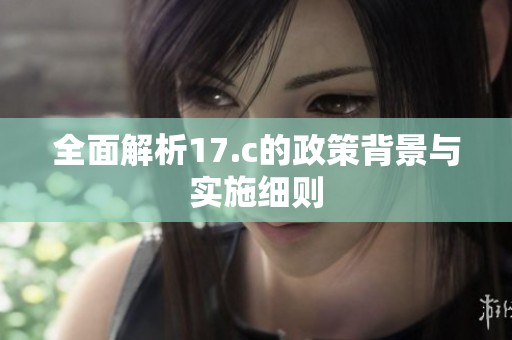 全面解析17.c的政策背景与实施细则