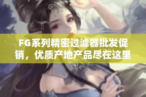 FG系列精密过滤器批发促销，优质产地产品尽在这里