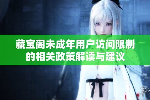 藏宝阁未成年用户访问限制的相关政策解读与建议