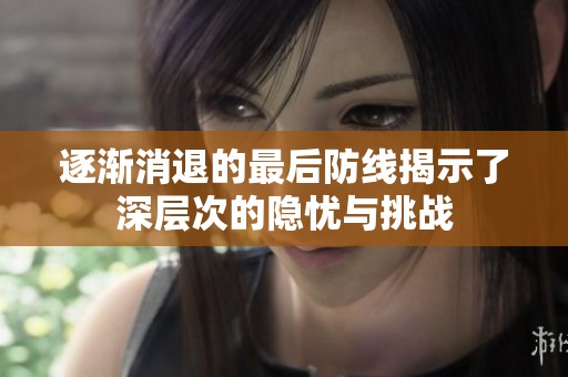 逐渐消退的最后防线揭示了深层次的隐忧与挑战