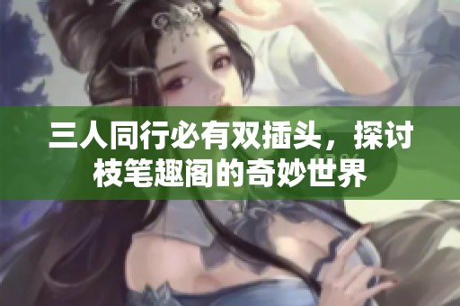 三人同行必有双插头，探讨枝笔趣阁的奇妙世界