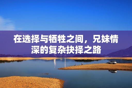 在选择与牺牲之间，兄妹情深的复杂抉择之路
