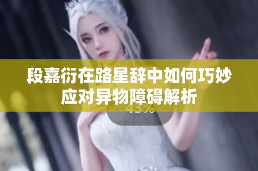 段嘉衍在路星辞中如何巧妙应对异物障碍解析