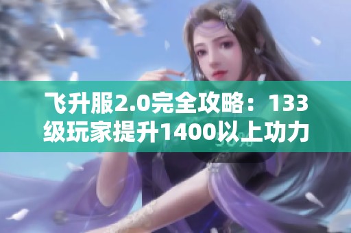 飞升服2.0完全攻略：133级玩家提升1400以上功力的详细指南