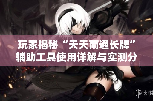 玩家揭秘“天天南通长牌”辅助工具使用详解与实测分享