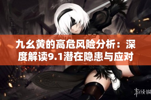 九幺黄的高危风险分析：深度解读9.1潜在隐患与应对策略