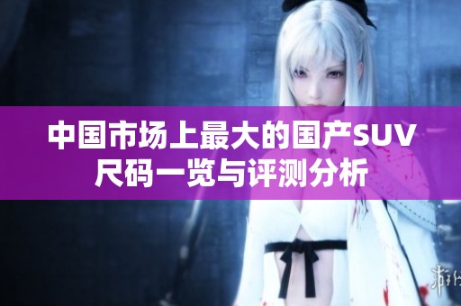 中国市场上最大的国产SUV尺码一览与评测分析