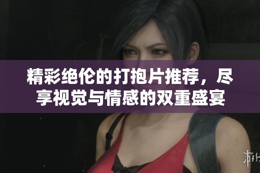 精彩绝伦的打抱片推荐，尽享视觉与情感的双重盛宴