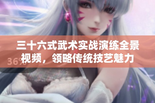 三十六式武术实战演练全景视频，领略传统技艺魅力