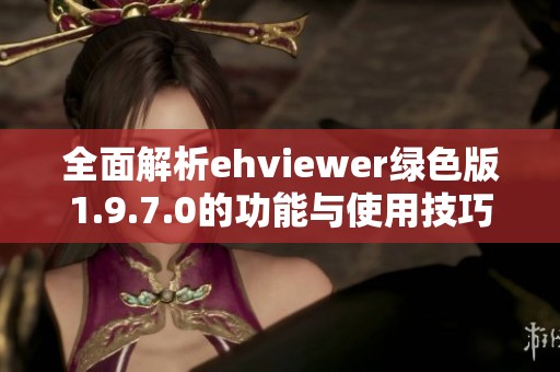 全面解析ehviewer绿色版1.9.7.0的功能与使用技巧