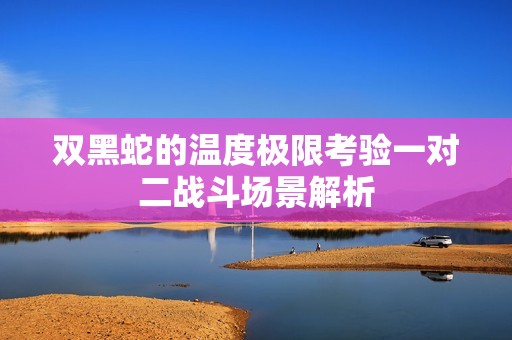 双黑蛇的温度极限考验一对二战斗场景解析