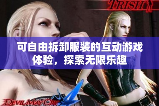 可自由拆卸服装的互动游戏体验，探索无限乐趣