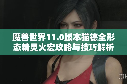 魔兽世界11.0版本猫德全形态精灵火宏攻略与技巧解析