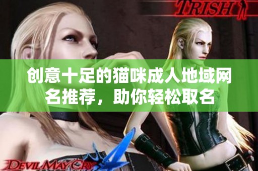 创意十足的猫咪成人地域网名推荐，助你轻松取名