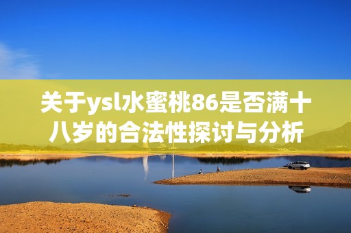 关于ysl水蜜桃86是否满十八岁的合法性探讨与分析