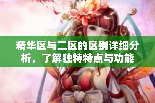 精华区与二区的区别详细分析，了解独特特点与功能