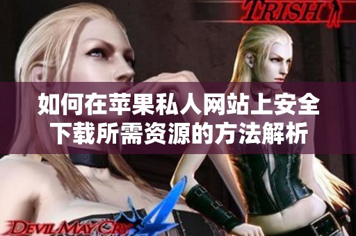如何在苹果私人网站上安全下载所需资源的方法解析