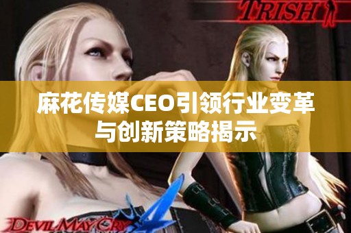 麻花传媒CEO引领行业变革与创新策略揭示
