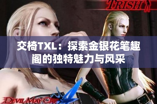 交椅TXL：探索金银花笔趣阁的独特魅力与风采
