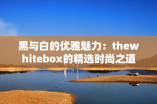 黑与白的优雅魅力：thewhitebox的精选时尚之道